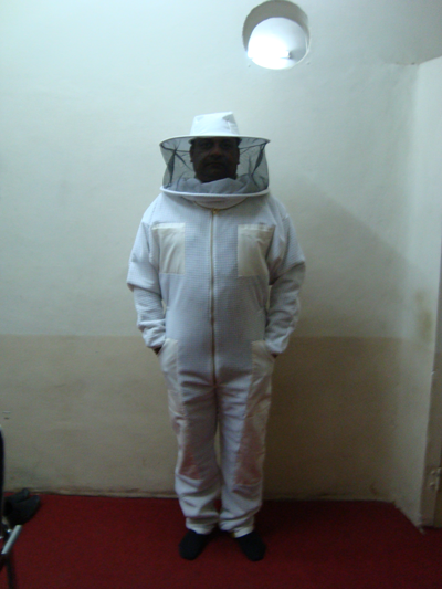 Full View of Bee Dress Kit