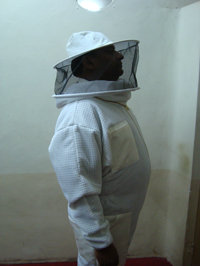 Side View of Bee Dress Kit